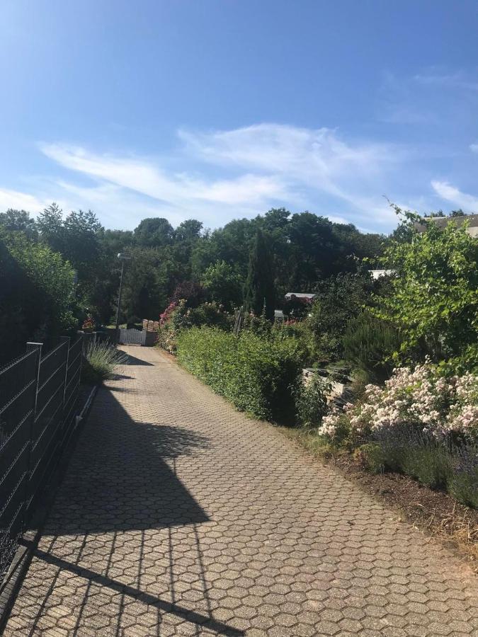 Bei Annemarie Apartment Trier Exterior photo